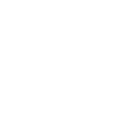 Abolish Human Abortion